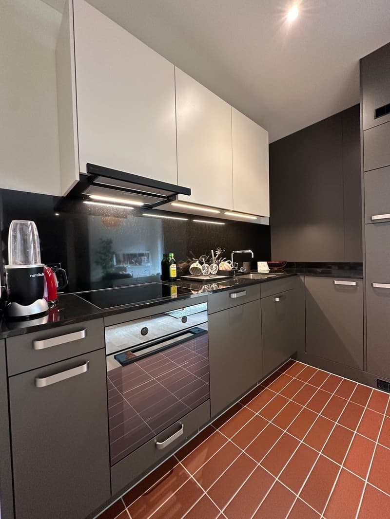 Private - Brand New 2.5 apt in Zurich Manegg start ASAP (4)
