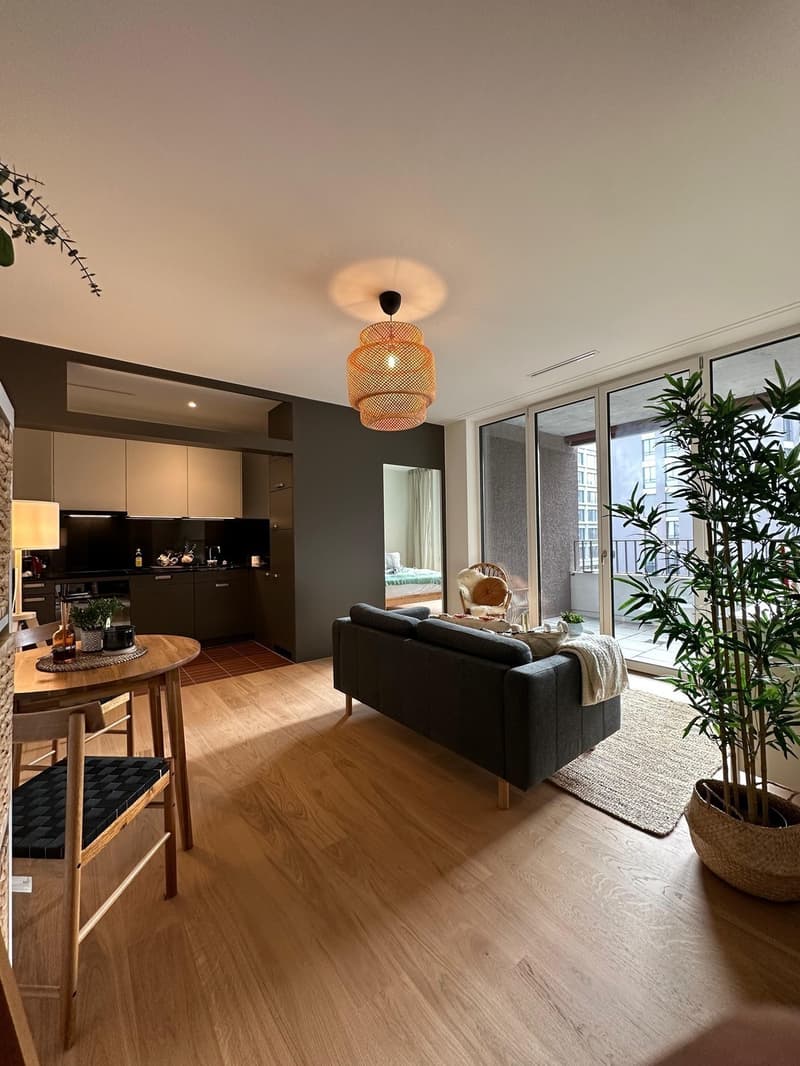 Private - Brand New 2.5 apt in Zurich Manegg start ASAP (1)