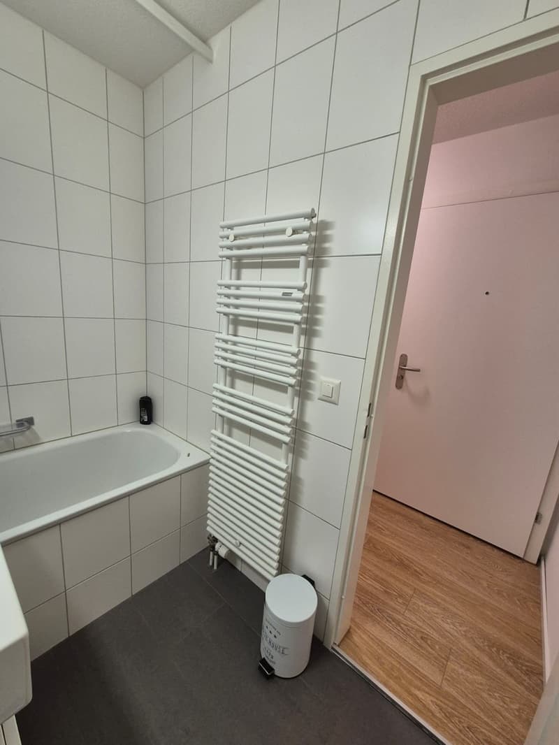 Appartamento di 1 ½ locali, 8004 Zurigo (2)