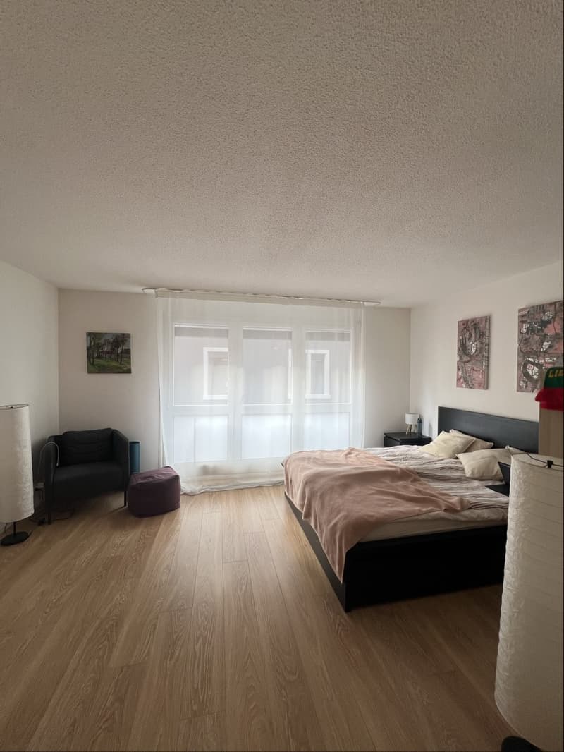 Appartamento di 1 ½ locali, 8004 Zurigo (7)