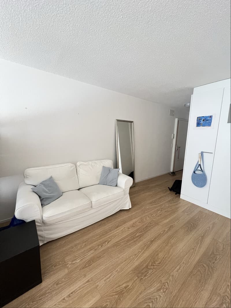 Appartamento di 1 ½ locali, 8004 Zurigo (8)