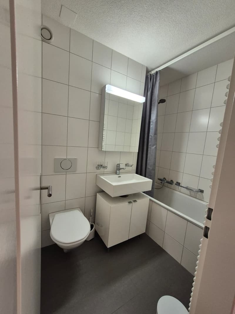 Appartamento di 1 ½ locali, 8004 Zurigo (3)