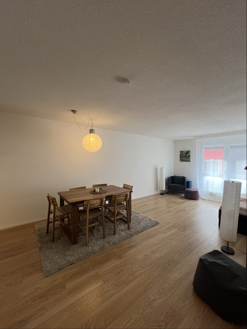 Appartamento di 1 ½ locali, 8004 Zurigo (1)