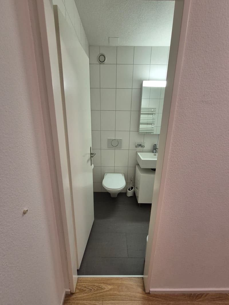 Appartamento di 1 ½ locali, 8004 Zurigo (6)