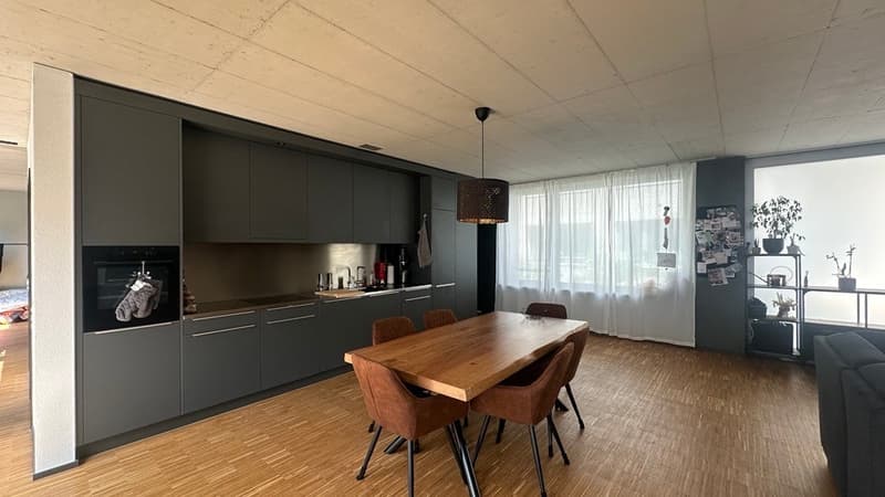 Nouvel appartement loft 3.5 pièces avec grande terrasse (1)