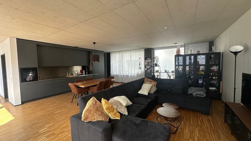 Nouvel appartement loft 3.5 pièces avec grande terrasse (3)