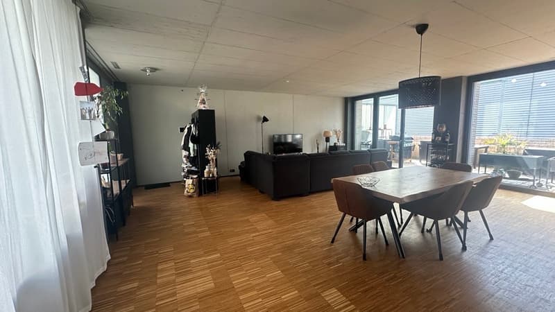 Nouvel appartement loft 3.5 pièces avec grande terrasse (2)