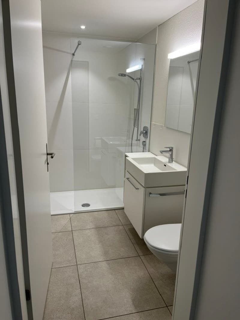 Appartamento moderno di 1,5 locali in affitto a Dübendorf (3)
