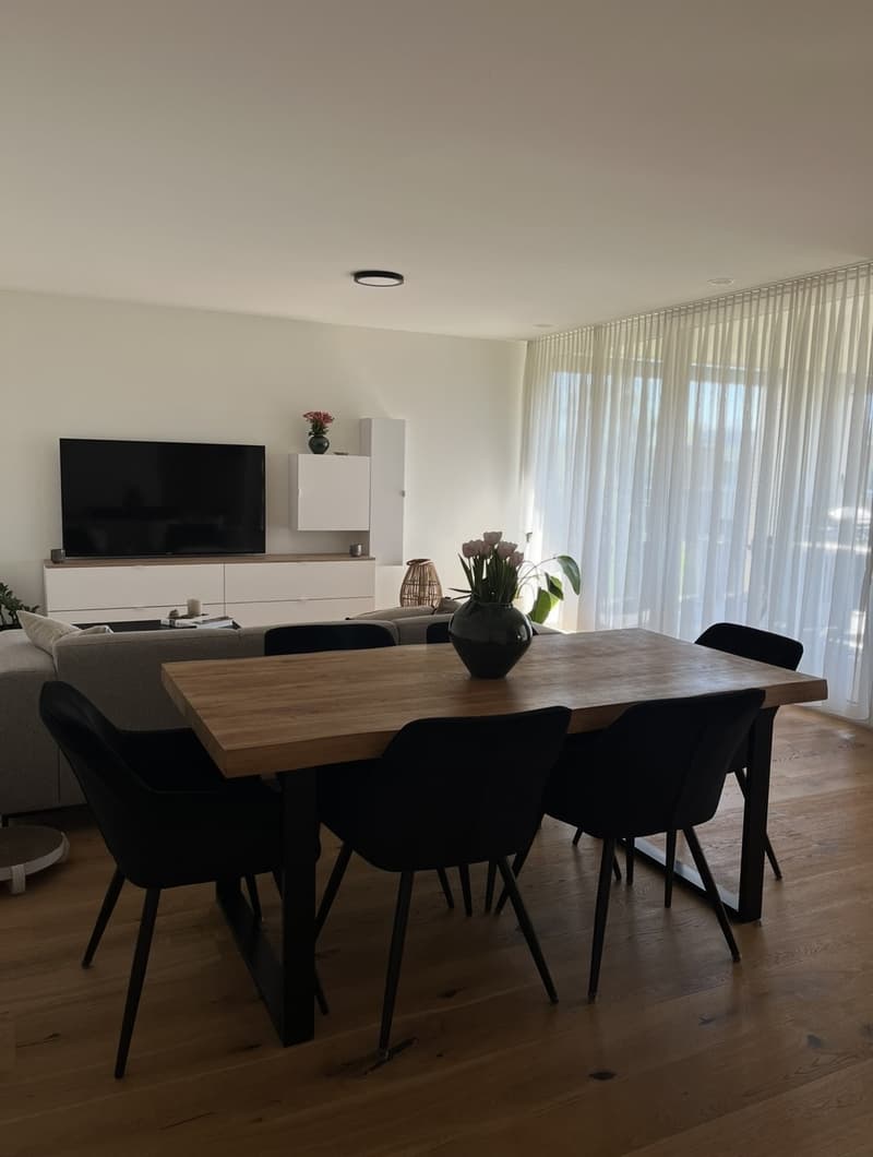 Moderne, möblierte 2.5-Zi Wohnung (6)