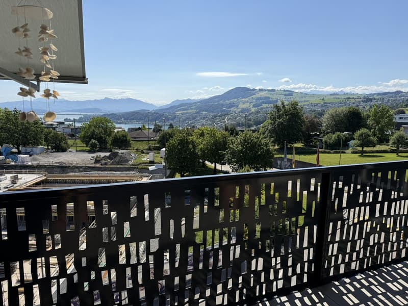 Tenant sought for 4.5 room apartment in Richterswil (2)