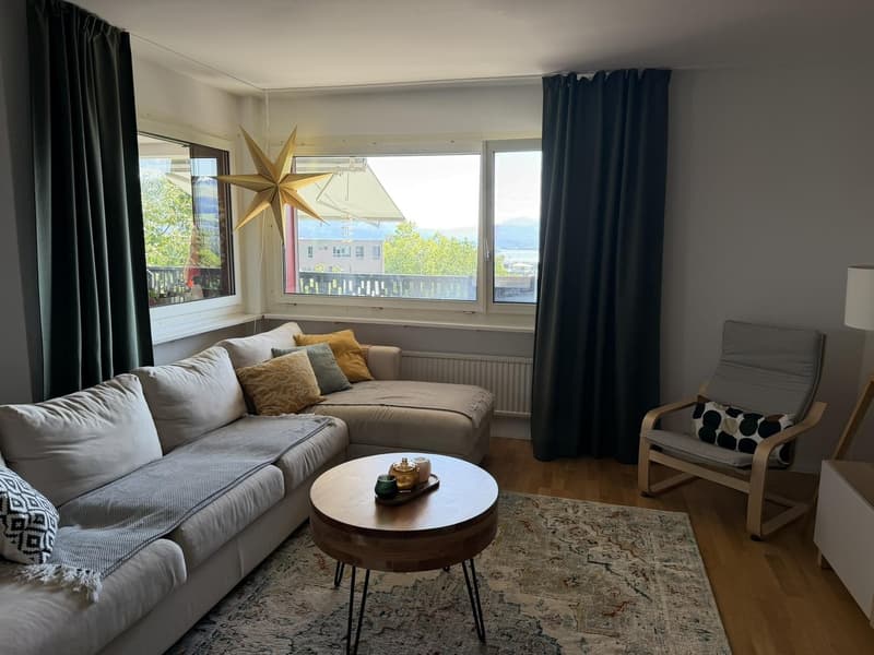 Tenant sought for 4.5 room apartment in Richterswil (11)