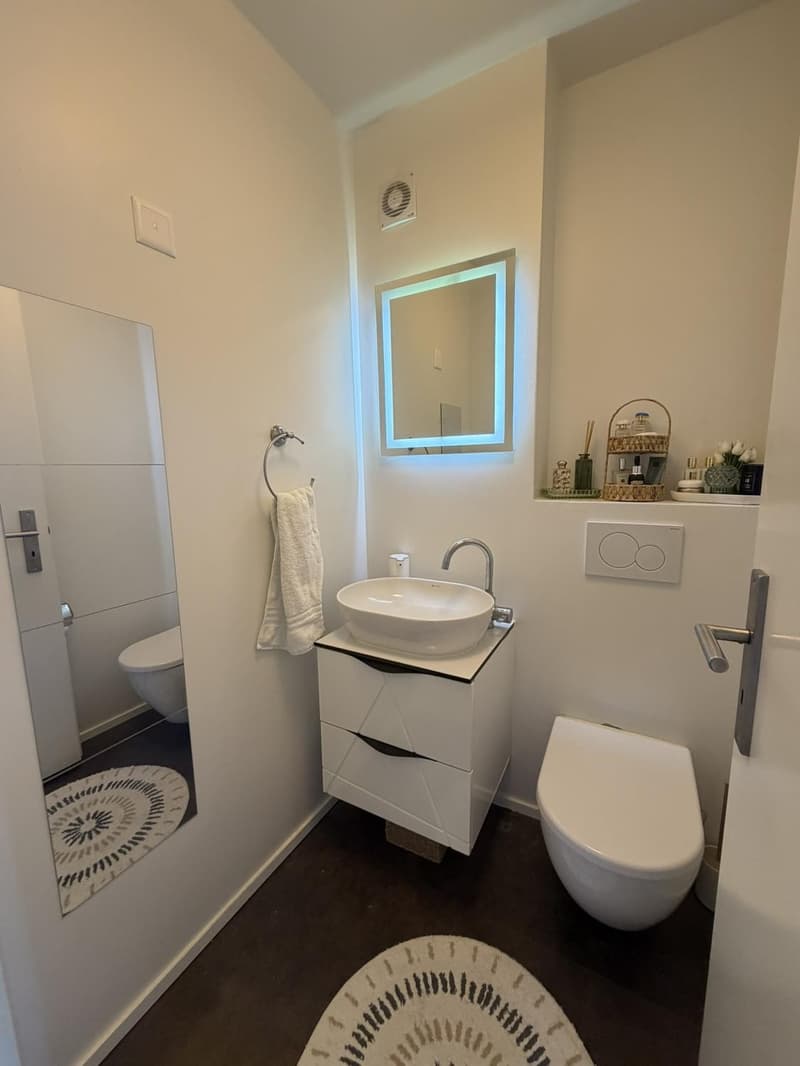Tenant sought for 4.5 room apartment in Richterswil (5)