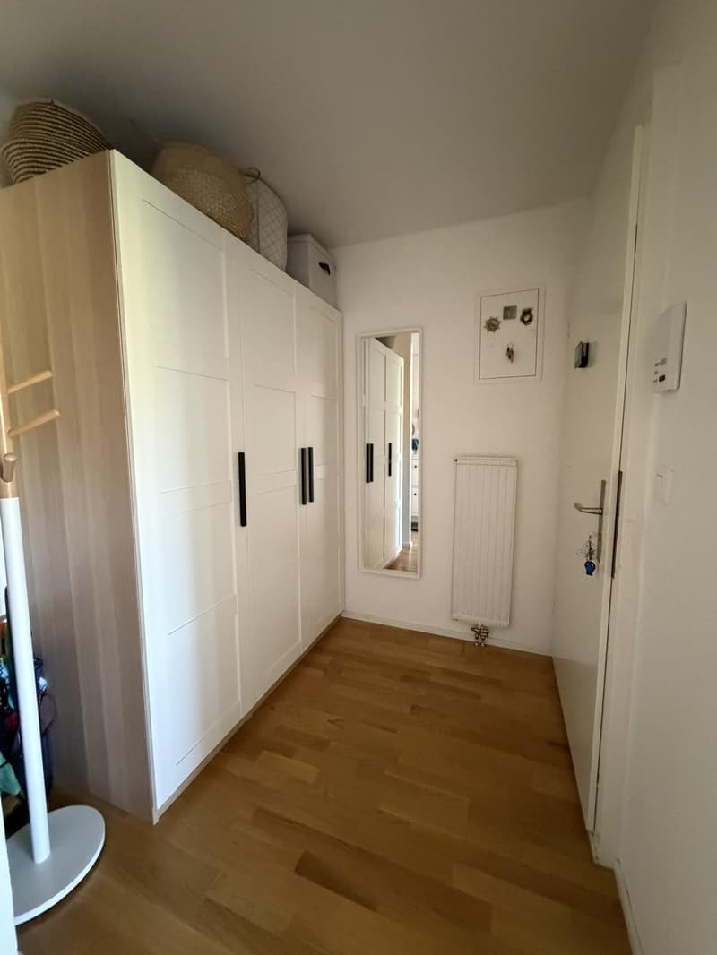 Tenant sought for 4.5 room apartment in Richterswil (6)