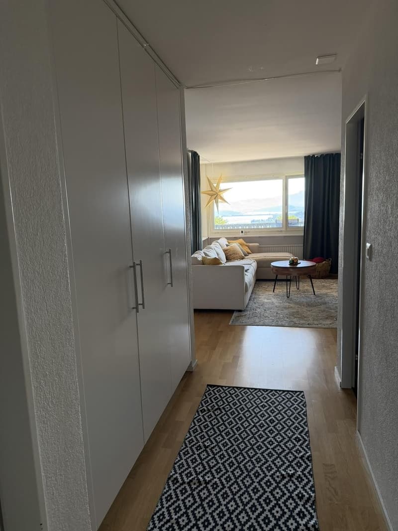 Tenant sought for 4.5 room apartment in Richterswil (8)