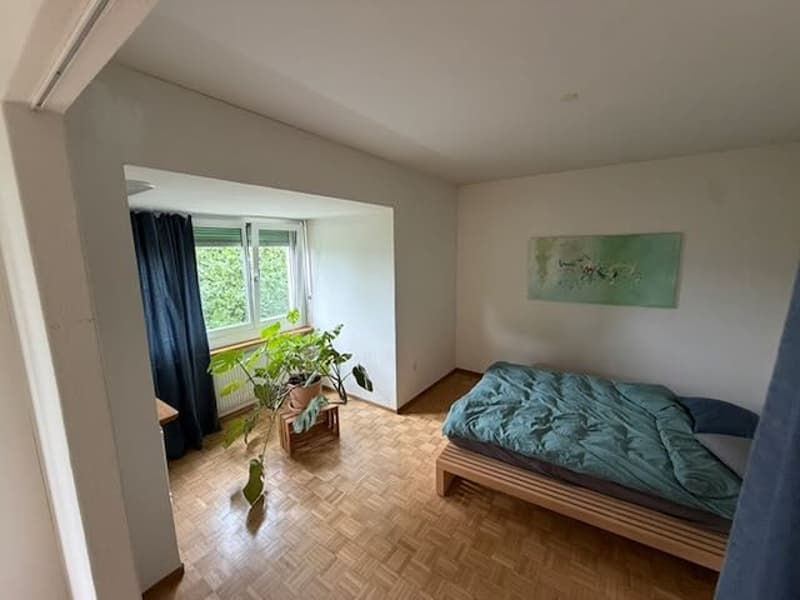 Shared flat with temporary full flat (7)