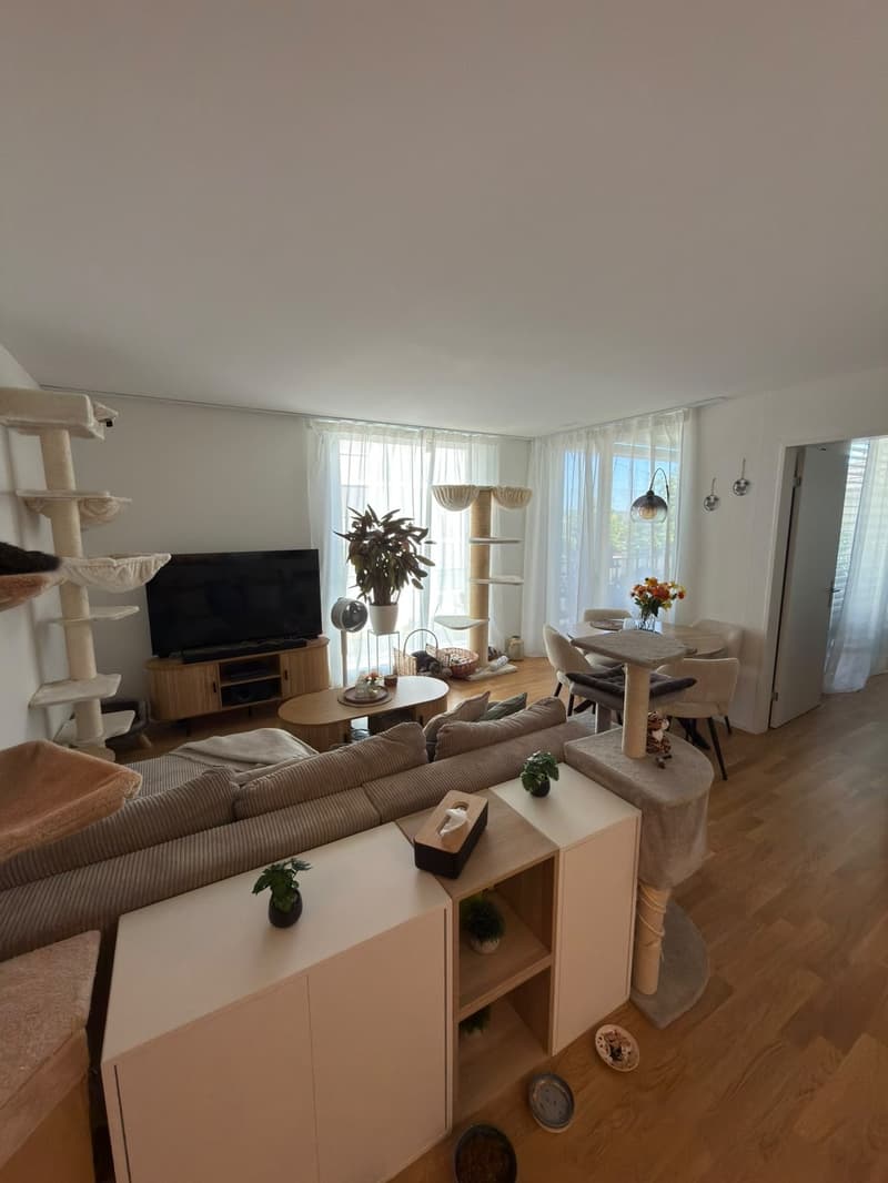 Moderne 2.5-Zimmer-Neubauwohnung (51.16 m²) (2)