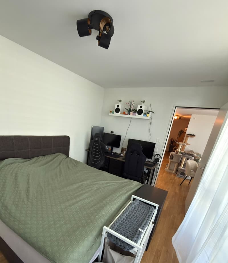 Moderne 2.5-Zimmer-Neubauwohnung (51.16 m²) (6)
