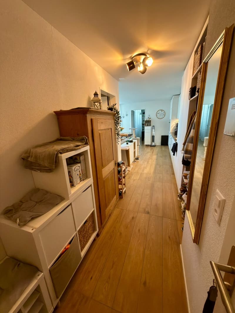 Moderne 2.5-Zimmer-Neubauwohnung (51.16 m²) (3)