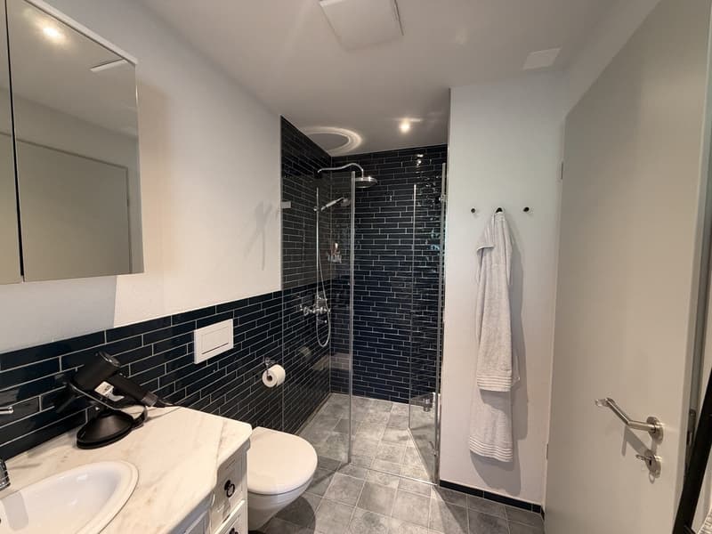 Modern new-build apartment in owner-occupier standard (3.5 rooms) (9)