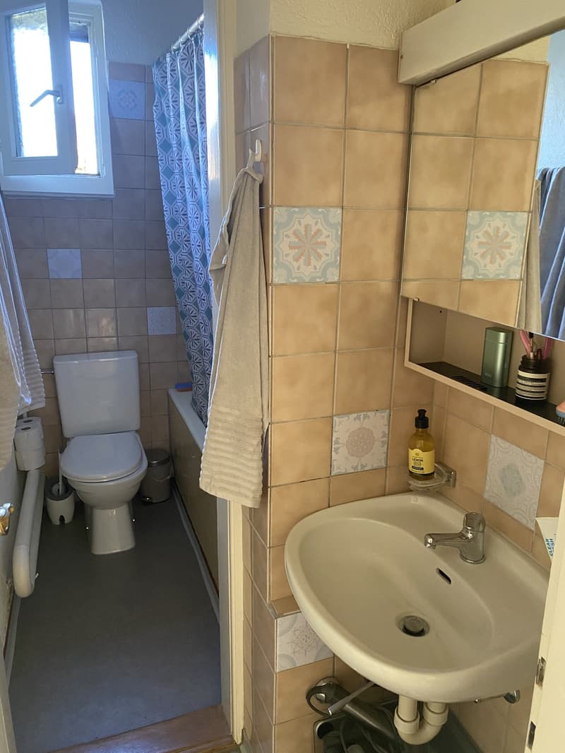 Wohnung beim Milchbuck (01.08.-08.09.26) (7)