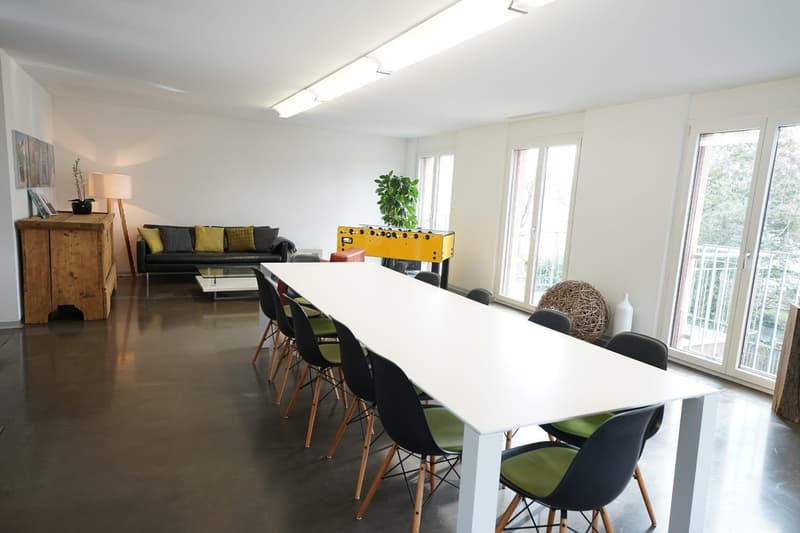 2.5-room apartment in Männedorf (1)