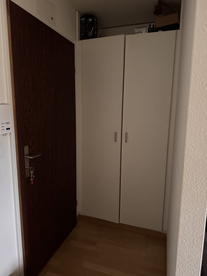 Appartamento 1 stanza accogliente a Zürcher Seefeld, cerca di un subaffittuario dal 01.10.2026 (5)