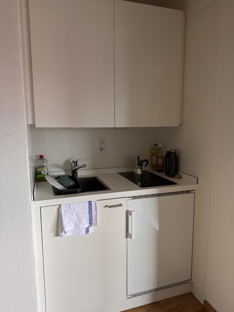 Appartamento 1 stanza accogliente a Zürcher Seefeld, cerca di un subaffittuario dal 01.10.2026 (2)