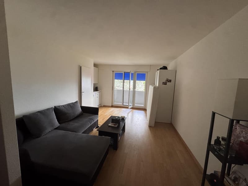 Appartamento 1 stanza accogliente a Zürcher Seefeld, cerca di un subaffittuario dal 01.10.2026 (1)