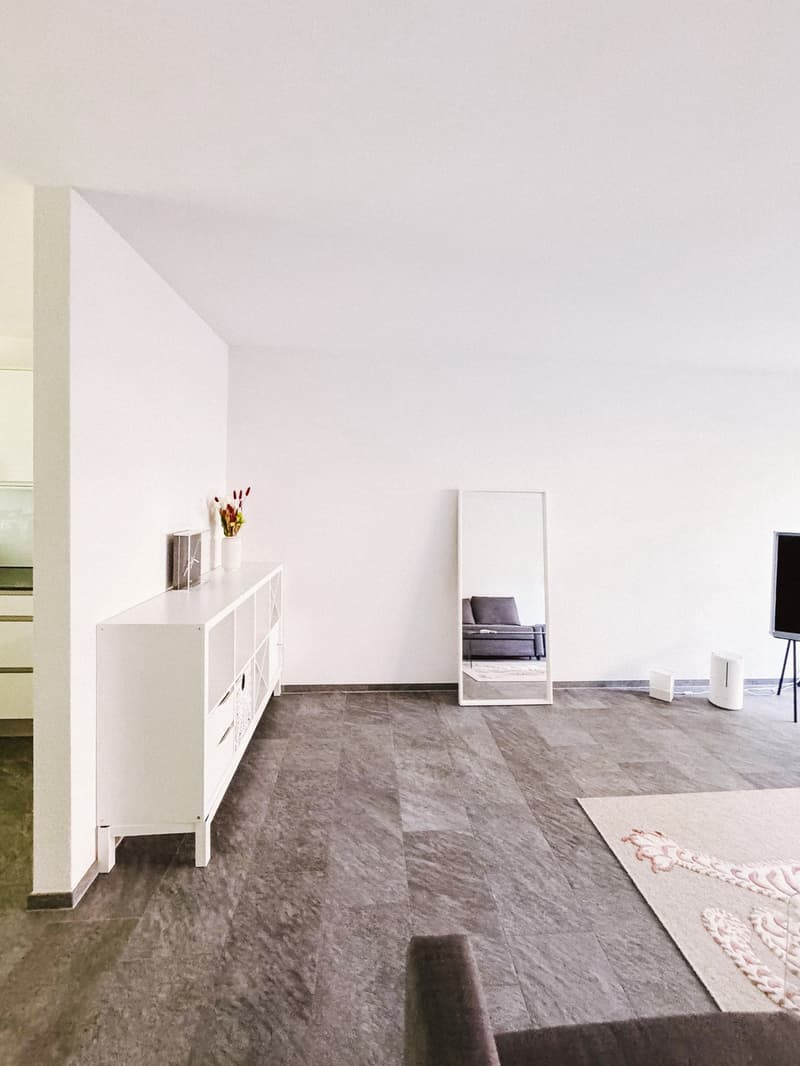 Appartamento di 2,5 locali con balcone (2)