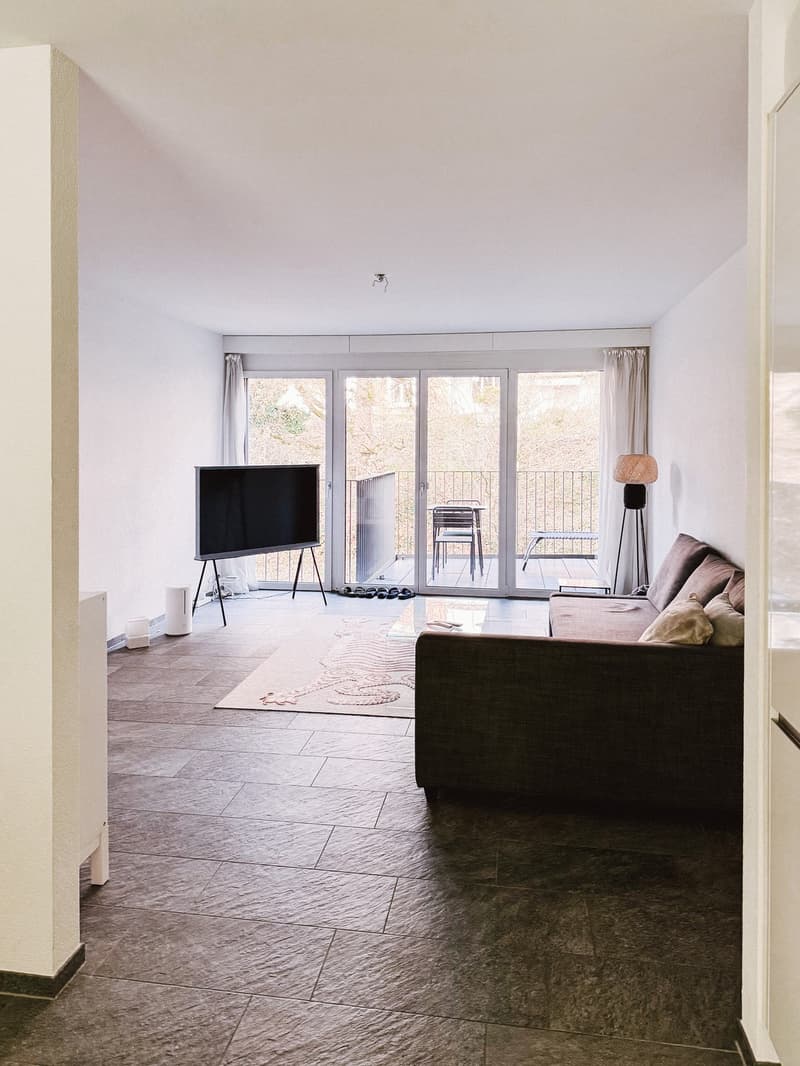Appartamento di 2,5 locali con balcone (1)
