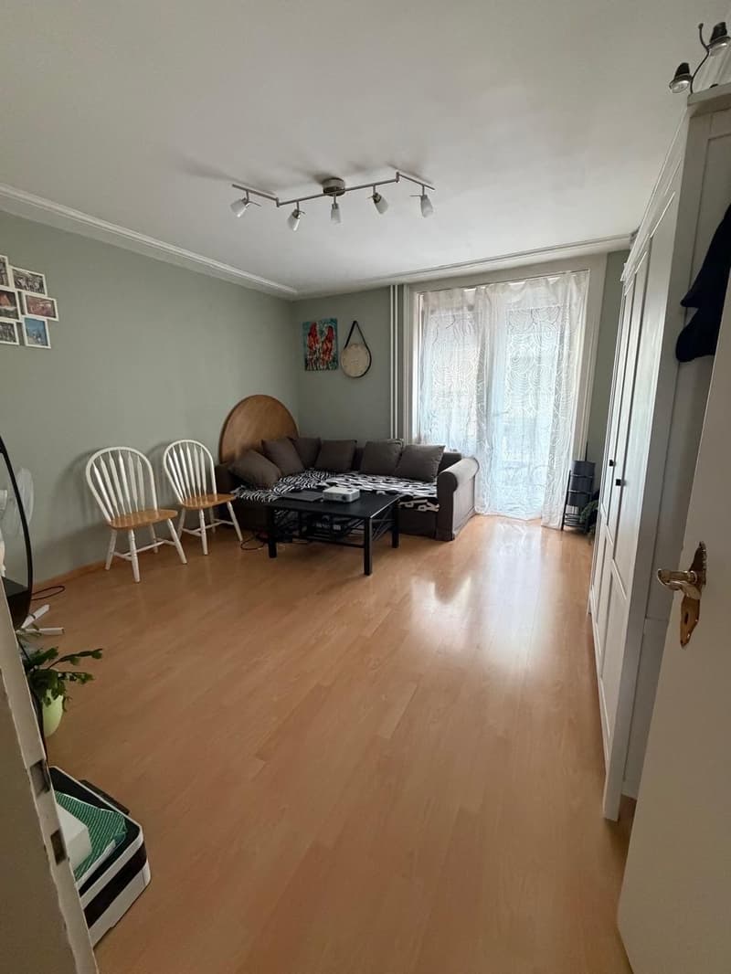 3-Zimmer-Wohnung in Zürich-Wipkingen befristete Zwischenmiete bis 30.09. (6)