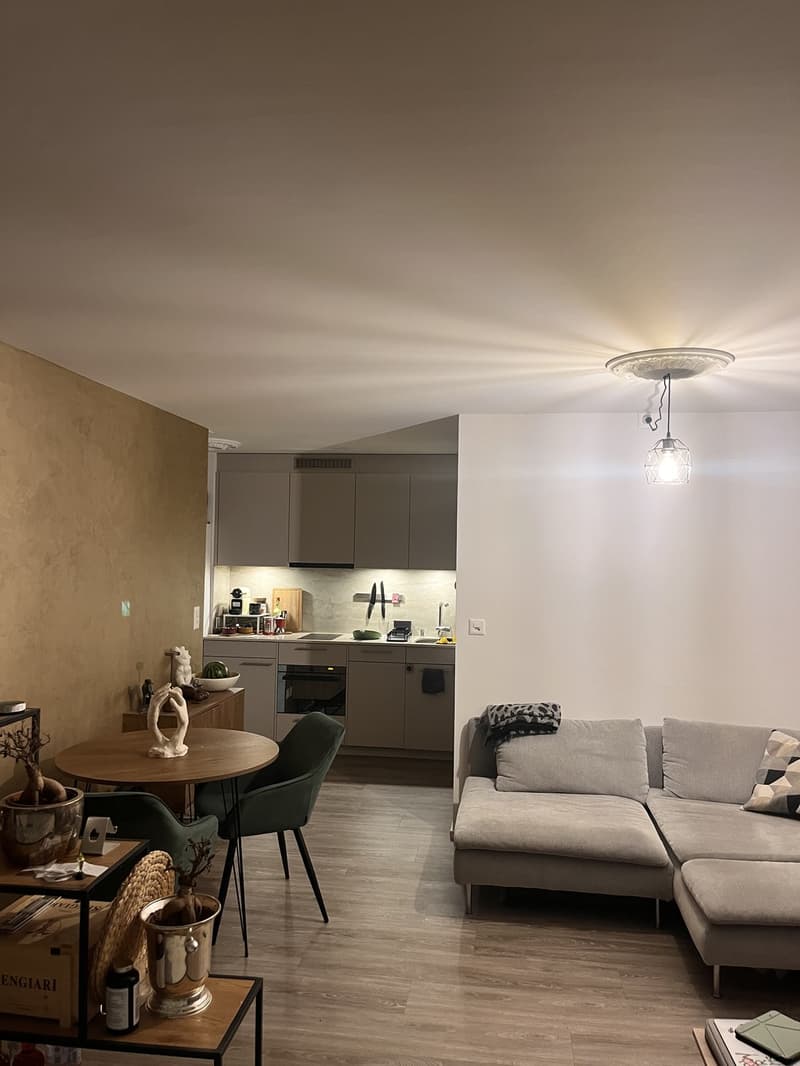 Appartamento luminoso & Moderno di 1,5 locali con balcone, 2 minuti dalla stazione di Tiefenbrunnen (3)