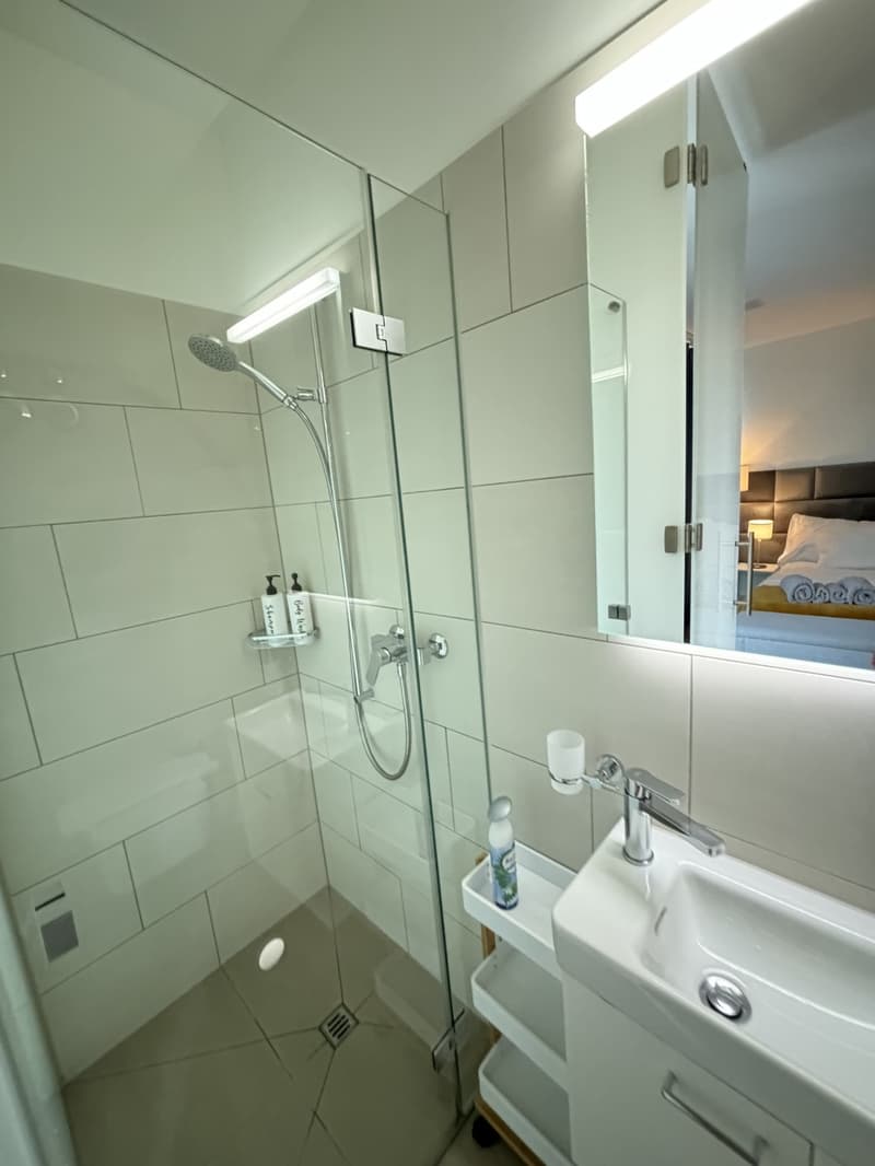 Furnished 1-room apartment with balcony centrally located in Zurich (District 4) (8)