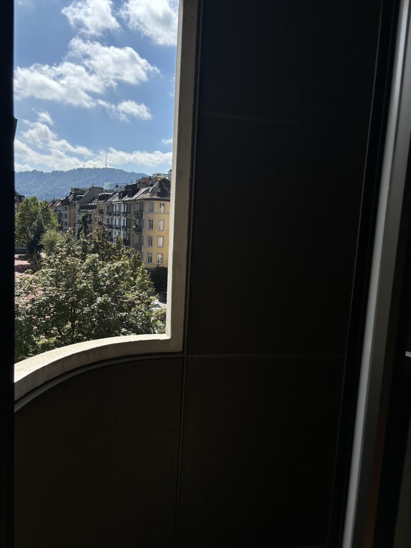 Furnished 1-room apartment with balcony centrally located in Zurich (District 4) (7)