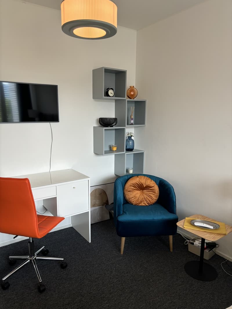 Furnished 1-room apartment with balcony centrally located in Zurich (District 4) (4)