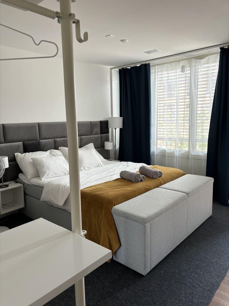 Furnished 1-room apartment with balcony centrally located in Zurich (District 4) (9)