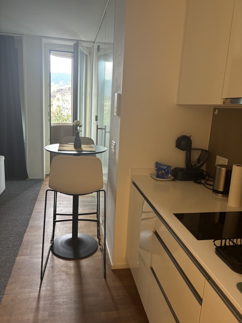 Furnished 1-room apartment with balcony centrally located in Zurich (District 4) (3)