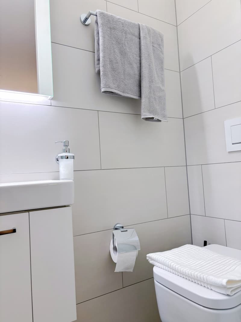 Furnished 1-room apartment with balcony centrally located in Zurich (District 4) (2)