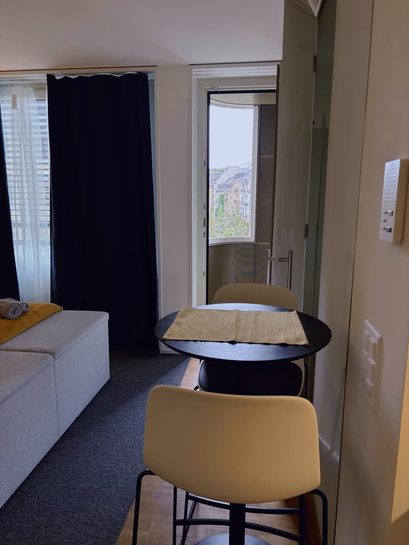 Furnished 1-room apartment with balcony centrally located in Zurich (District 4) (5)