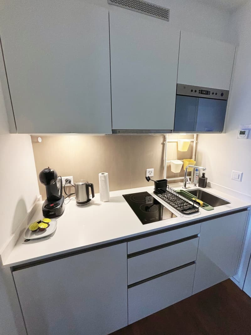 Furnished 1-room apartment with balcony centrally located in Zurich (District 4) (1)