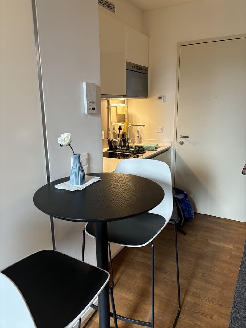 Furnished 1-room apartment with balcony centrally located in Zurich (District 4) (6)