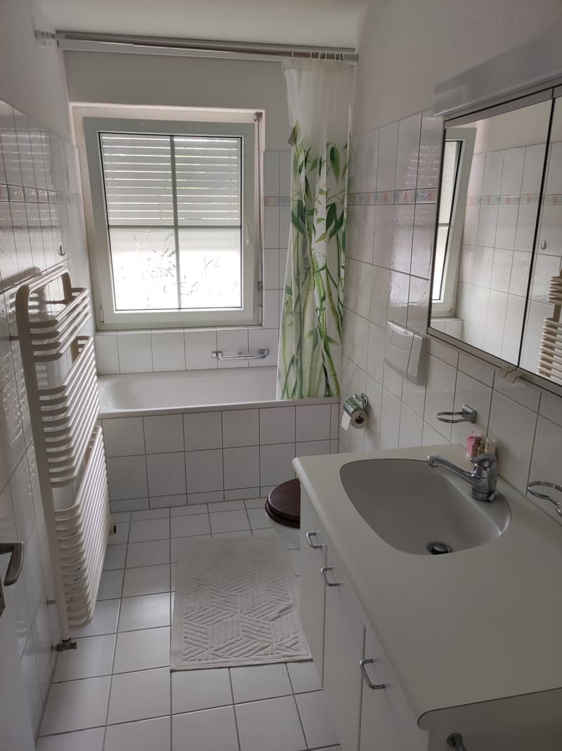 3 ½ room apartment, 8406 Winterthur (6)