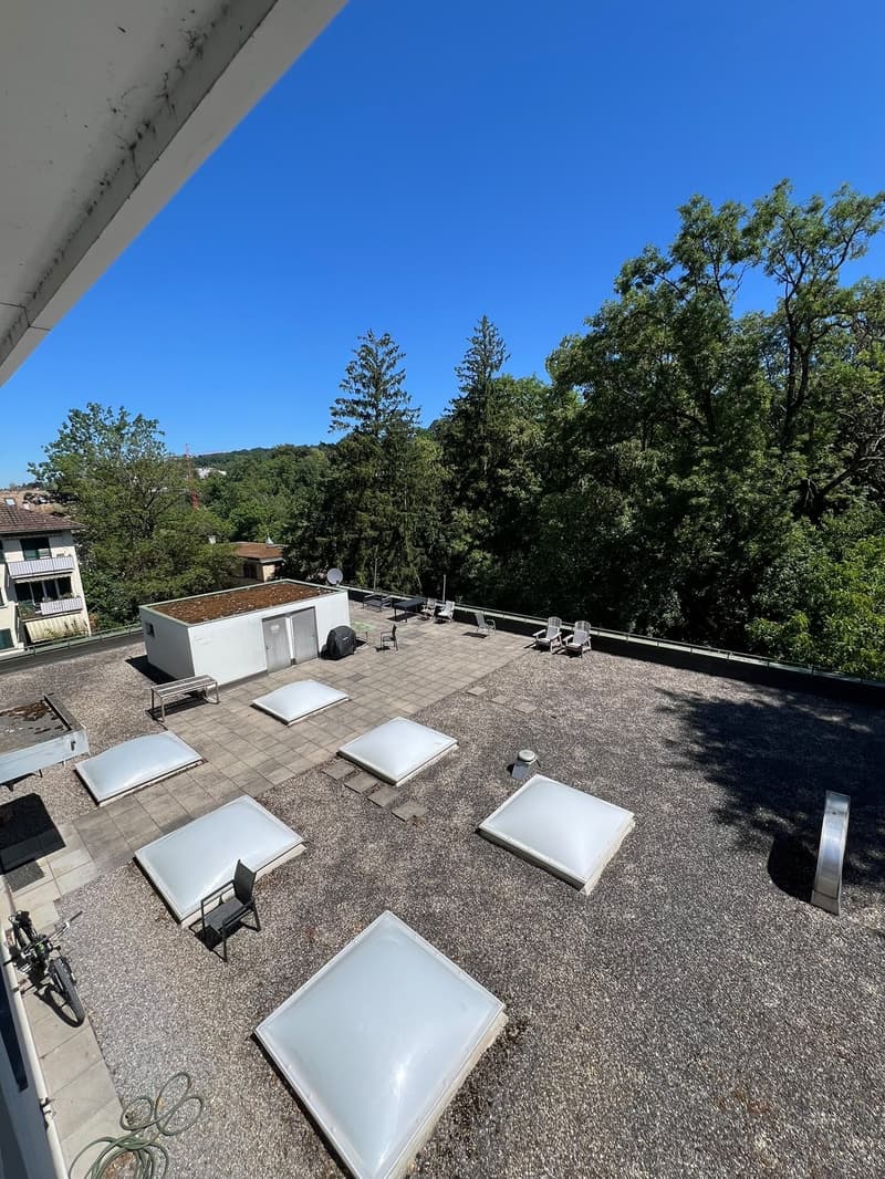 Appartamento 3.5 locali in una zona tranquilla nel distretto 8 (2)