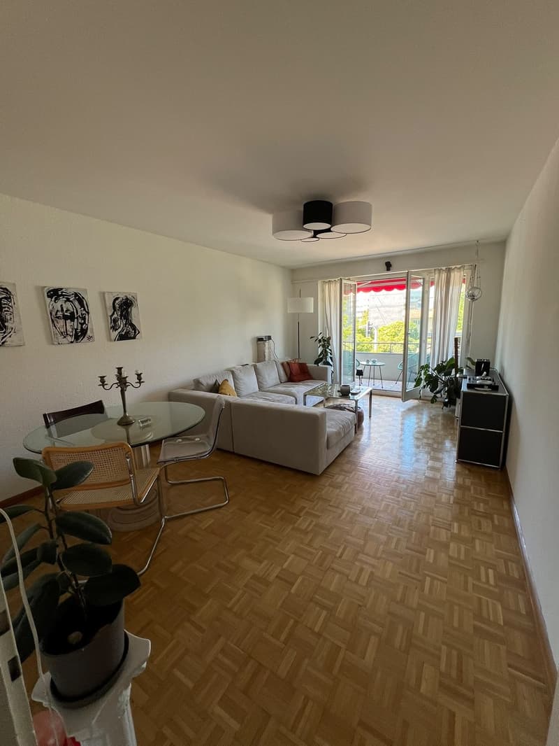 Appartamento 3.5 locali in una zona tranquilla nel distretto 8 (6)