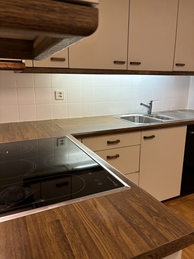 Appartamento 2.5 locali luminoso a Helvetiaplatz a Zurigo in affitto (10)