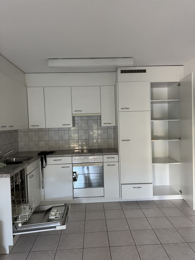 Cozy 2-room ground floor apartment near Lake Zurich (3)