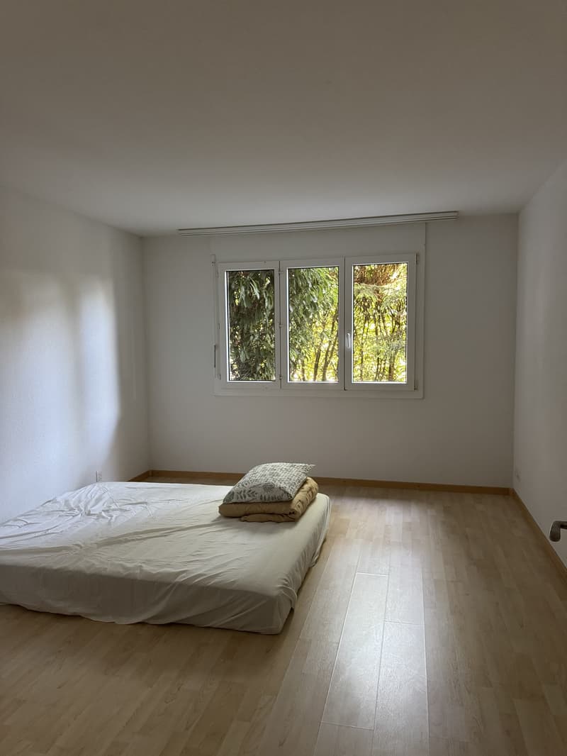Cozy 2-room ground floor apartment near Lake Zurich (2)