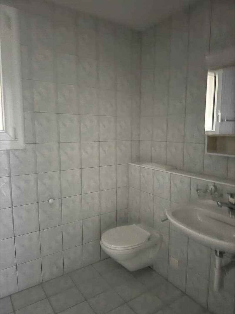 Cozy 2-room ground floor apartment near Lake Zurich (5)