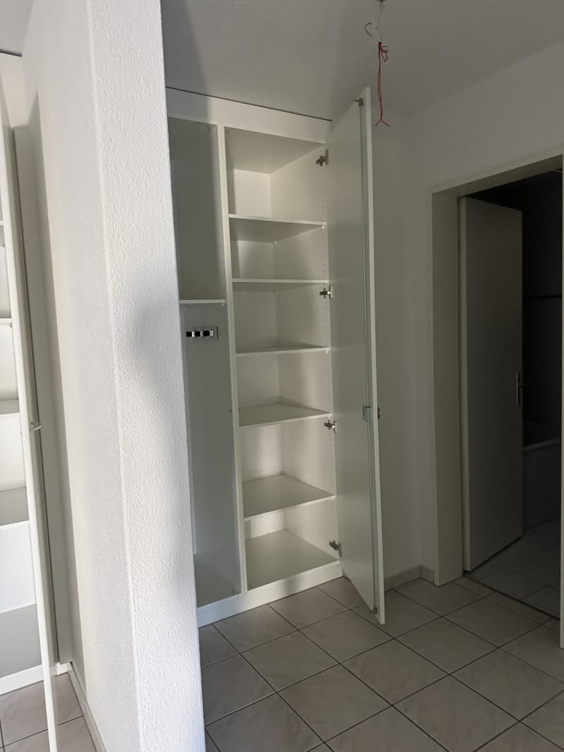 Cozy 2-room ground floor apartment near Lake Zurich (4)