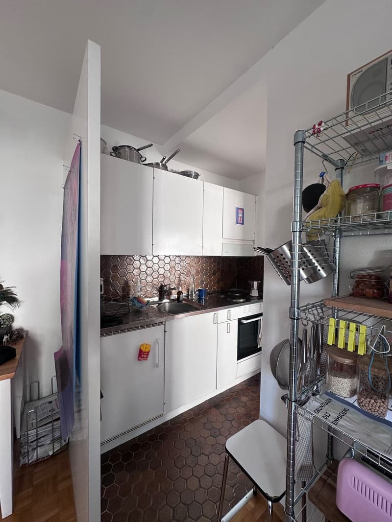 Bello appartamento di 1,5 locali a Wipkingen (3)